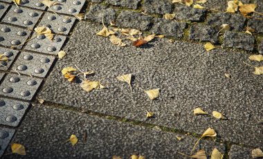 Sonbaharda bir parkta yere düşen yapraklar.                               