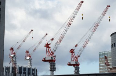 Vinçler inşaat alanında dizilmiş.                               