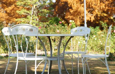 Güneşli bir günde bahçede masa ve sandalyeler.                               