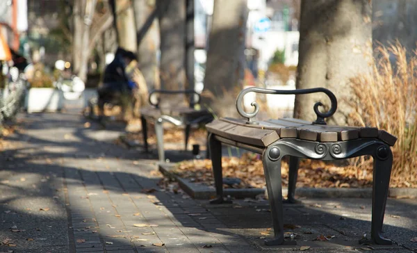 Park Pad Utcán Fákkal Egy Napsütéses Napon — Stock Fotó