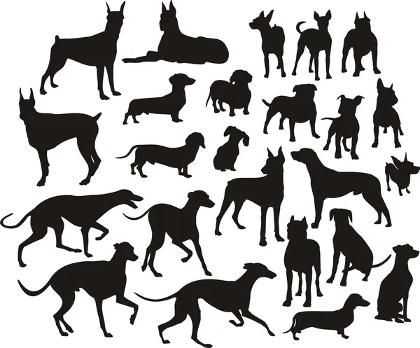 Silhouette of the dogs — Stock Vector