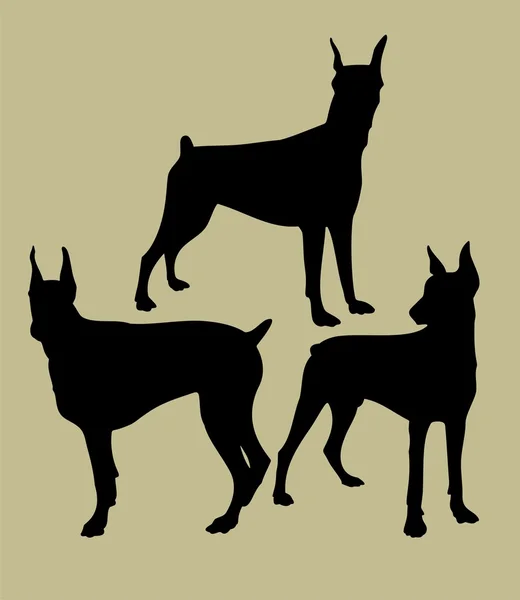 Silhouette des chiens — Image vectorielle