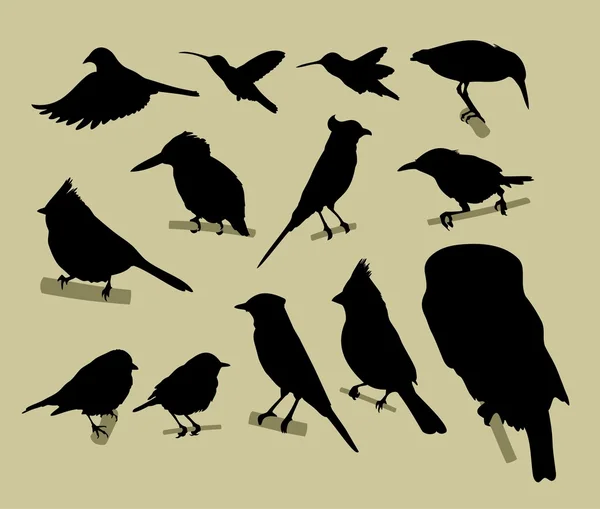 Silhouette of the birds — Stock Vector