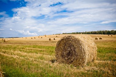 saman haystacks