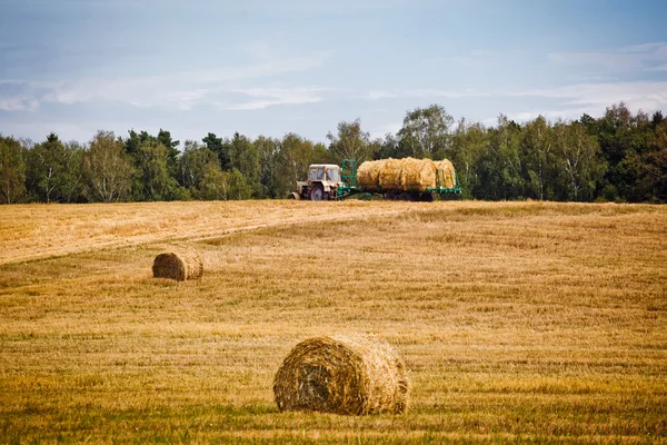 Stroh-Heuhaufen — Stockfoto