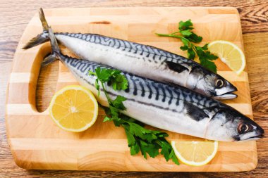 bir kaç taze uskumru