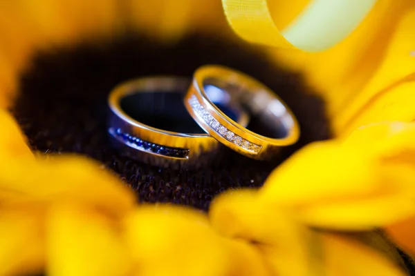 Anéis de casamento de ouro — Fotografia de Stock