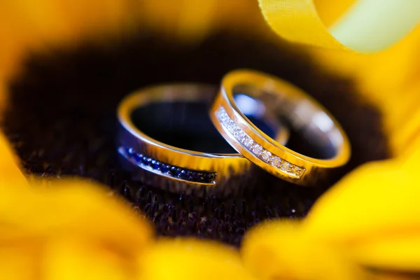 Anillos de boda de oro —  Fotos de Stock