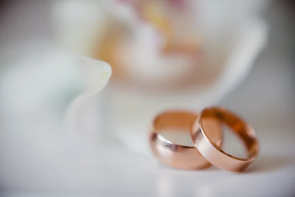 Anillos de boda de oro —  Fotos de Stock