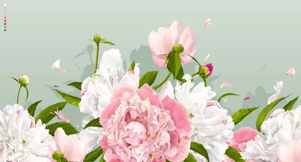 Fond pivoine rose et blanc — Image vectorielle