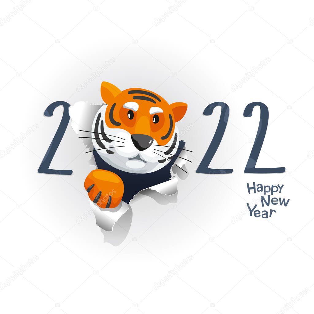 Vector Tiger  looks out of a hole in the paper. Chinese zodiac symbol of the New Year 2022