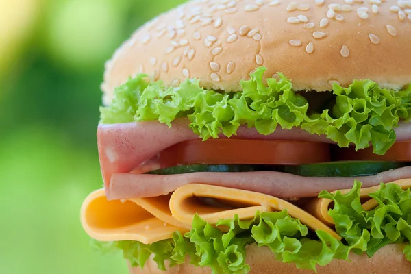 Close-up sandwich — Stock Photo, Image