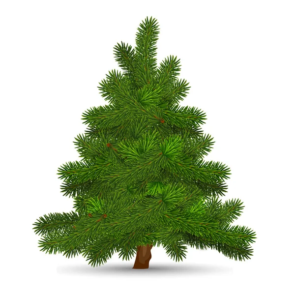 Vánoční Stromek Bílém Pozadí Vysoce Realistické Ilustrace — Stockový vektor