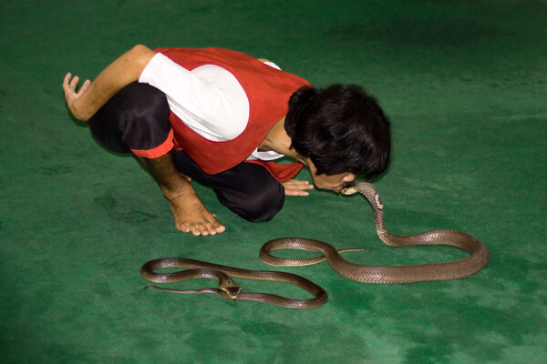 Таиланд, остров Ко Самуи, 21 сентября. Неизвестный целуется.
