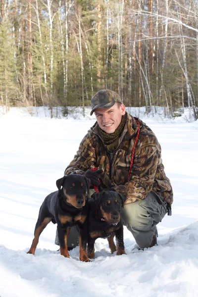 The man holds on a lead of two hunting dogs Jagdterriers in the