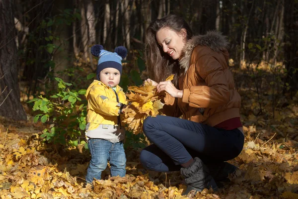 El muchacho en la cazadora amarilla recoge con la mamá las hojas en el delantero —  Fotos de Stock