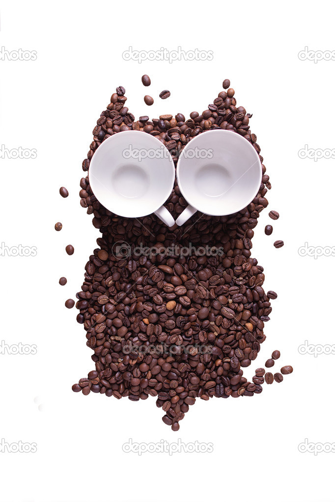 Owl who has been laid out from grains of coffee, with eyes from 
