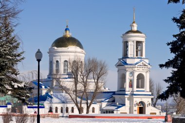 Kış Voronezh'nin Rusya'da pokrovsky Katedrali