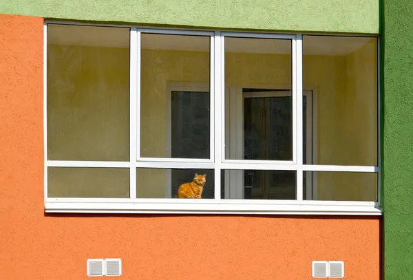 glassed-in balkon, sokak görünümü
