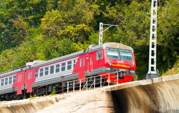 Ferrocarriles de tren en el fondo de las laderas verdes de montaña —  Fotos de Stock