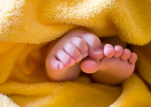 Baby feet in towel — Stock Photo, Image