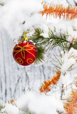 Noel top karla kaplı çam ağacı orman üzerinde asılı