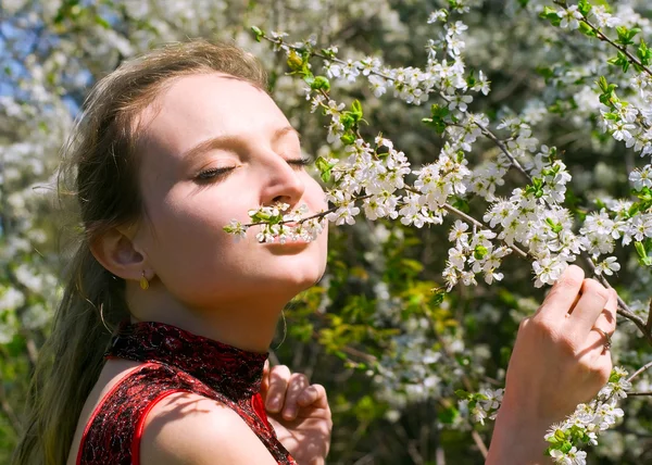 Girl enjoying smell of cherry blossoms — Stock Photo, Image