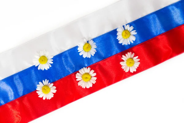 Background from camomiles on Russian flag — Stock Photo, Image