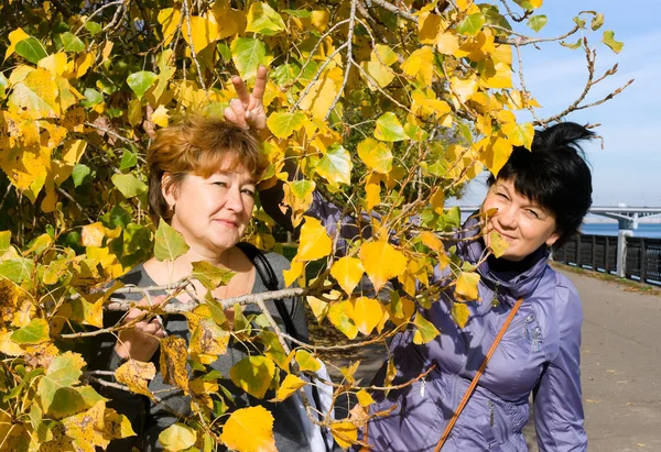 Two elderly cheerful girlfriends joke on autumn walk — Stock Photo, Image