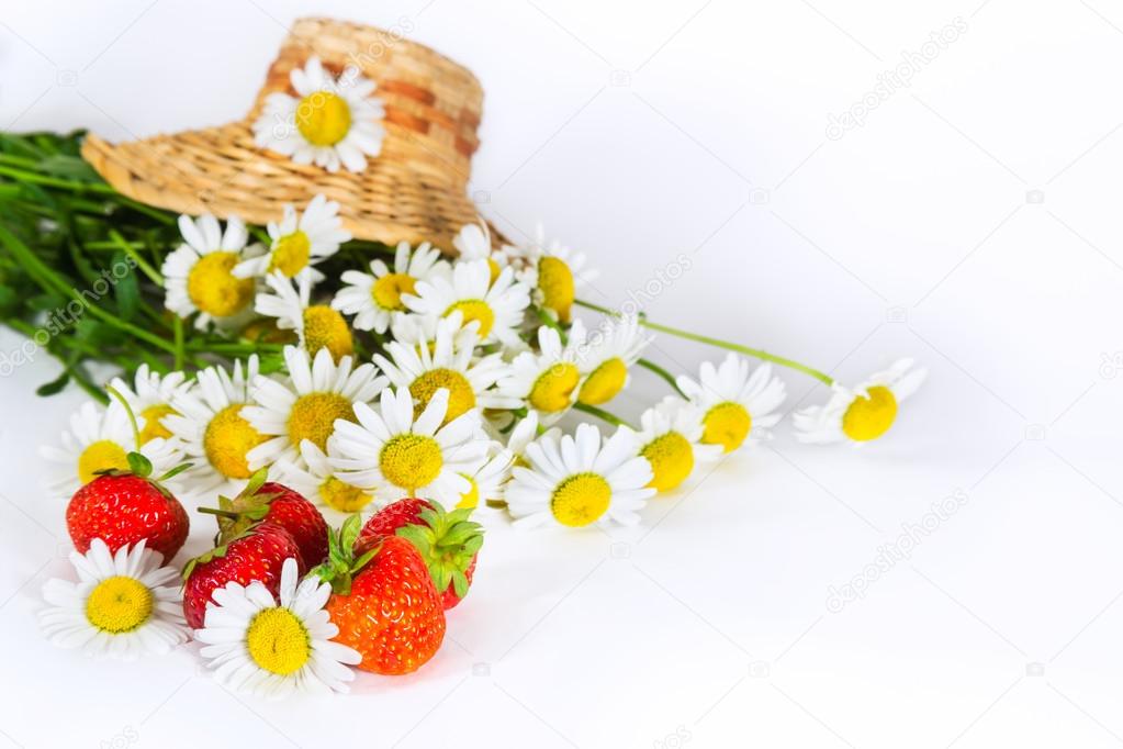 Camomiles with strawberry - summer season