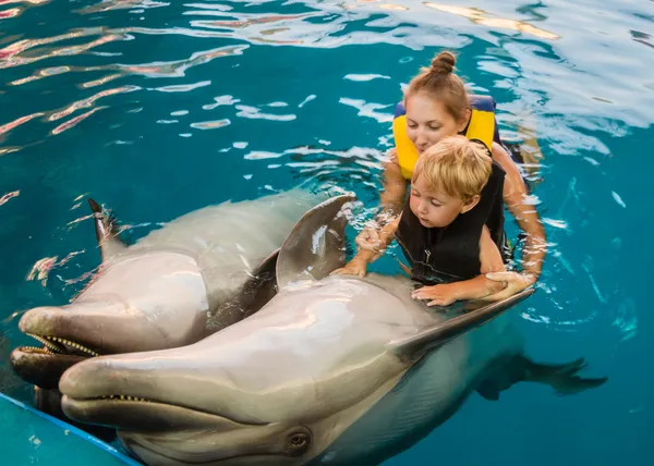 Mãe com criança flutua com golfinhos na piscina — Fotografia de Stock