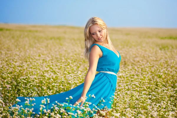 Bir alan üzerinde mavi elbise giyen güzel bir kadın Telifsiz Stok Imajlar