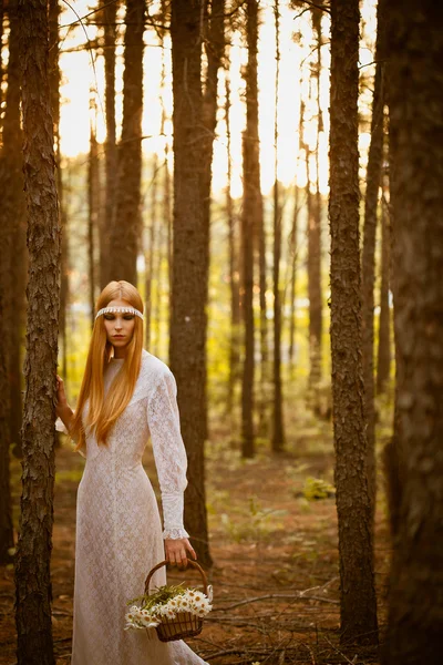 Vacker kvinna som står i skogen Stockbild