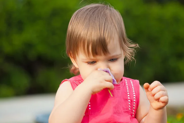Little girl smelling flower — Stock Photo, Image