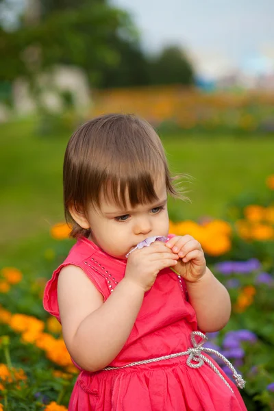 Μικρό κορίτσι μυρίζοντας λουλούδι — Φωτογραφία Αρχείου
