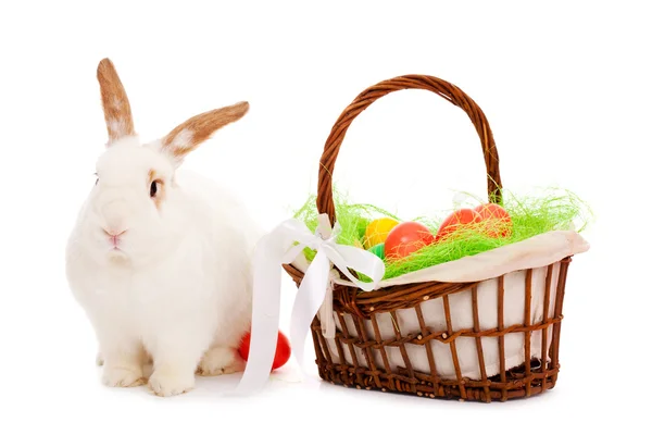 Easter bunny and basket — Stock Photo, Image