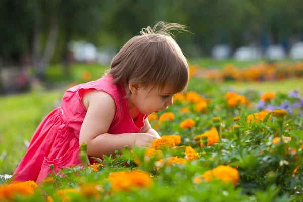 Klein meisje in oranje bloemen — Stockfoto