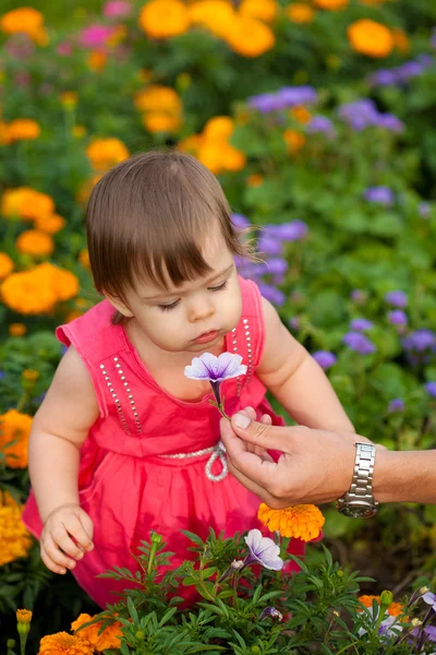 小女孩嗅到花 — 图库照片
