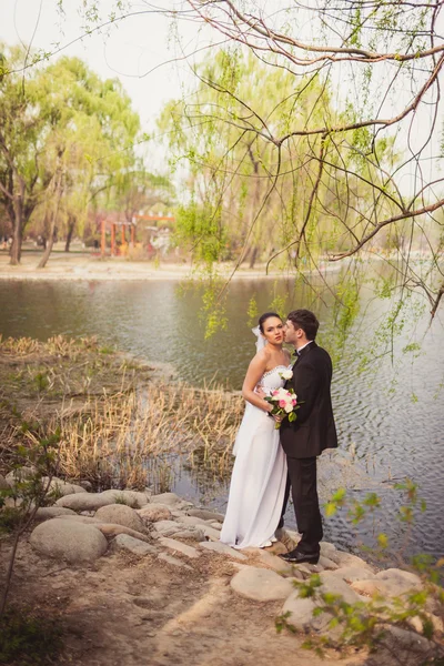 Casal de noivas em pé perto do lago — Fotografia de Stock
