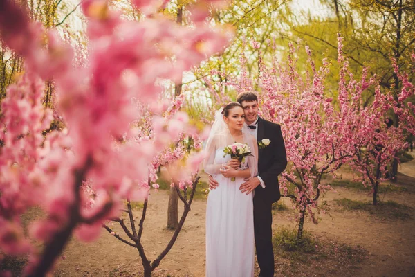Lyckliga brudparet i park — Stockfoto