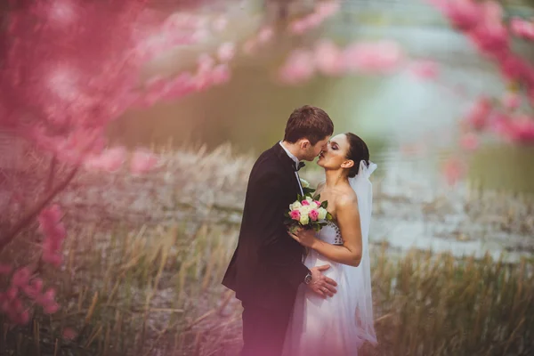 Felice coppia nuziale nel parco — Foto Stock