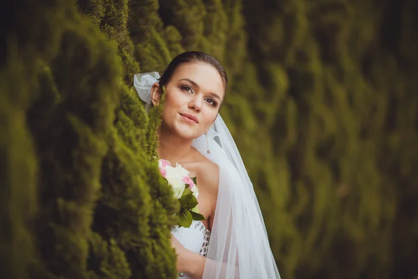 Brautporträt über grünen Bäumen im Freien — Stockfoto