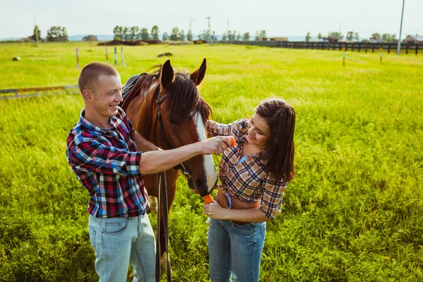 Jovem casal alimentando cavalo — Fotografia de Stock