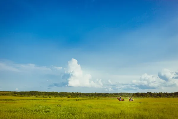 Couple riding on horses across the field — Stock Photo, Image