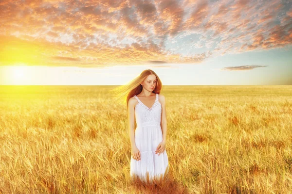 Beautiful young woman in wheat field — Stock Photo, Image