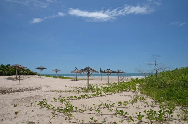 Spiaggia in Senegal — Foto Stock