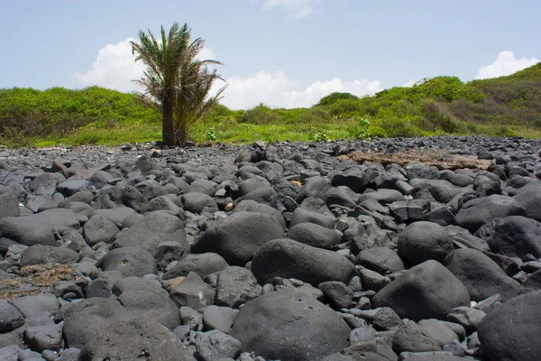 Senegal, isle de la Madeleine — Stockfoto