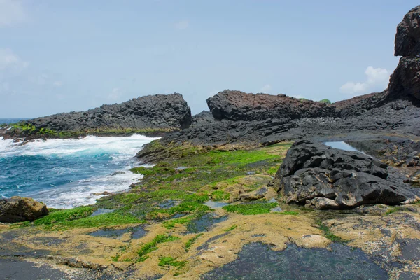 Senegal, isle de la madeleine — Stockfoto