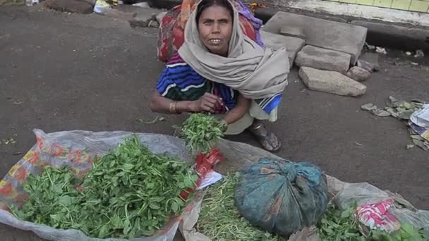 Индийская женщина — стоковое видео