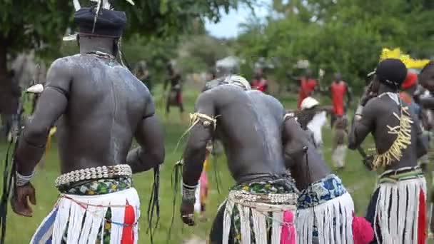 African dancers — Stock Video